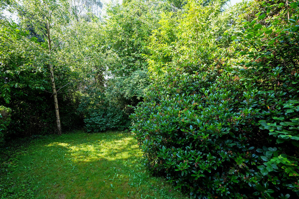 Knowle Lane Ecclesall